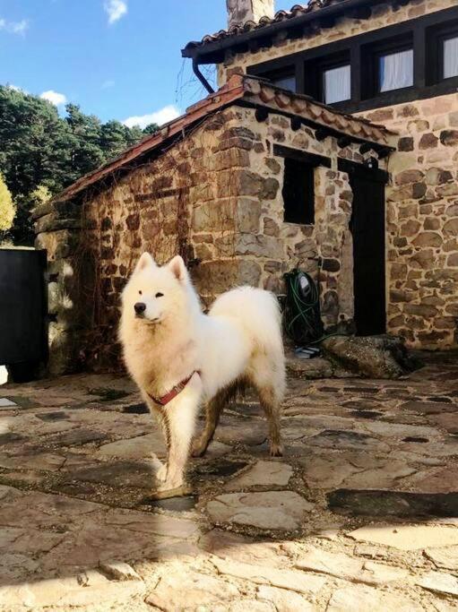 Casa Con Encanto Lagunanegra Y Urbion Vinuesa Luaran gambar